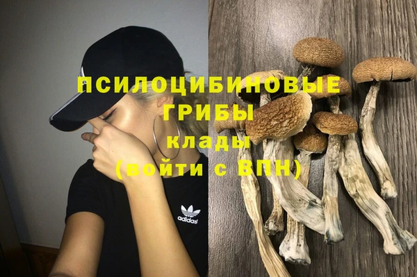spice Алексин