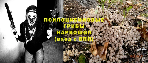 spice Алексин
