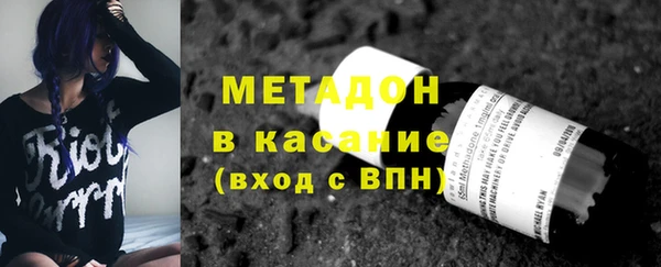 прущие грибы Алзамай