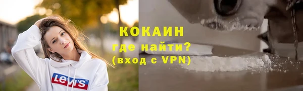 гашик Заводоуковск