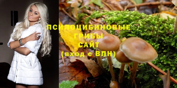скорость Алексеевка