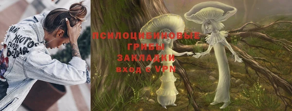 spice Алексин