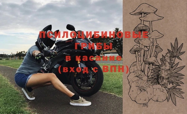 spice Алексин