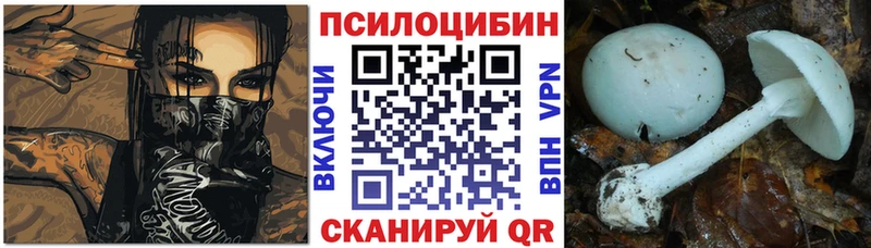 ОМГ ОМГ маркетплейс  Багратионовск  Галлюциногенные грибы Magic Shrooms 